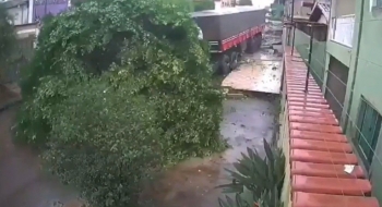 Caminhão sem motorista invade calçada e derruba duas árvores em rua de Anápolis